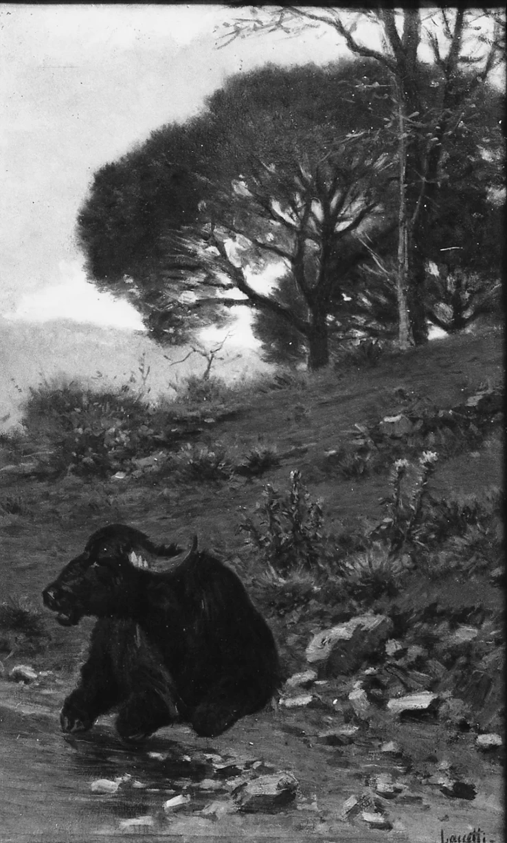 Valerio Laccetti - paesaggio con bufalo, Museo Civico, Vasto, Chieti